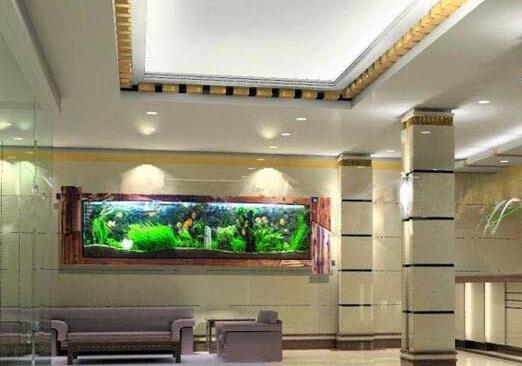 順酐對環(huán)境有哪些影響您知道嗎？